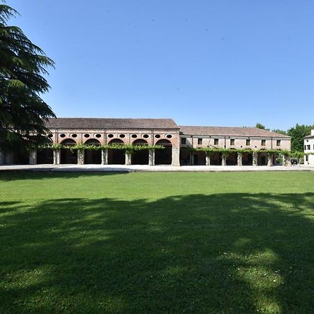Tenuta Le Risare Bed & Breakfast Campo San Martino Dış mekan fotoğraf