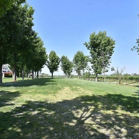 Tenuta Le Risare Bed & Breakfast Campo San Martino Dış mekan fotoğraf