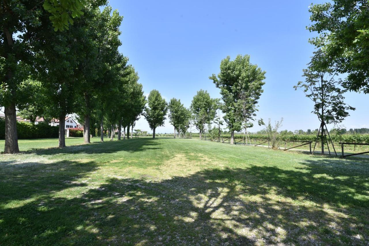 Tenuta Le Risare Bed & Breakfast Campo San Martino Dış mekan fotoğraf