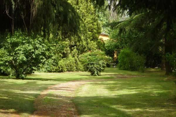 Tenuta Le Risare Bed & Breakfast Campo San Martino Dış mekan fotoğraf